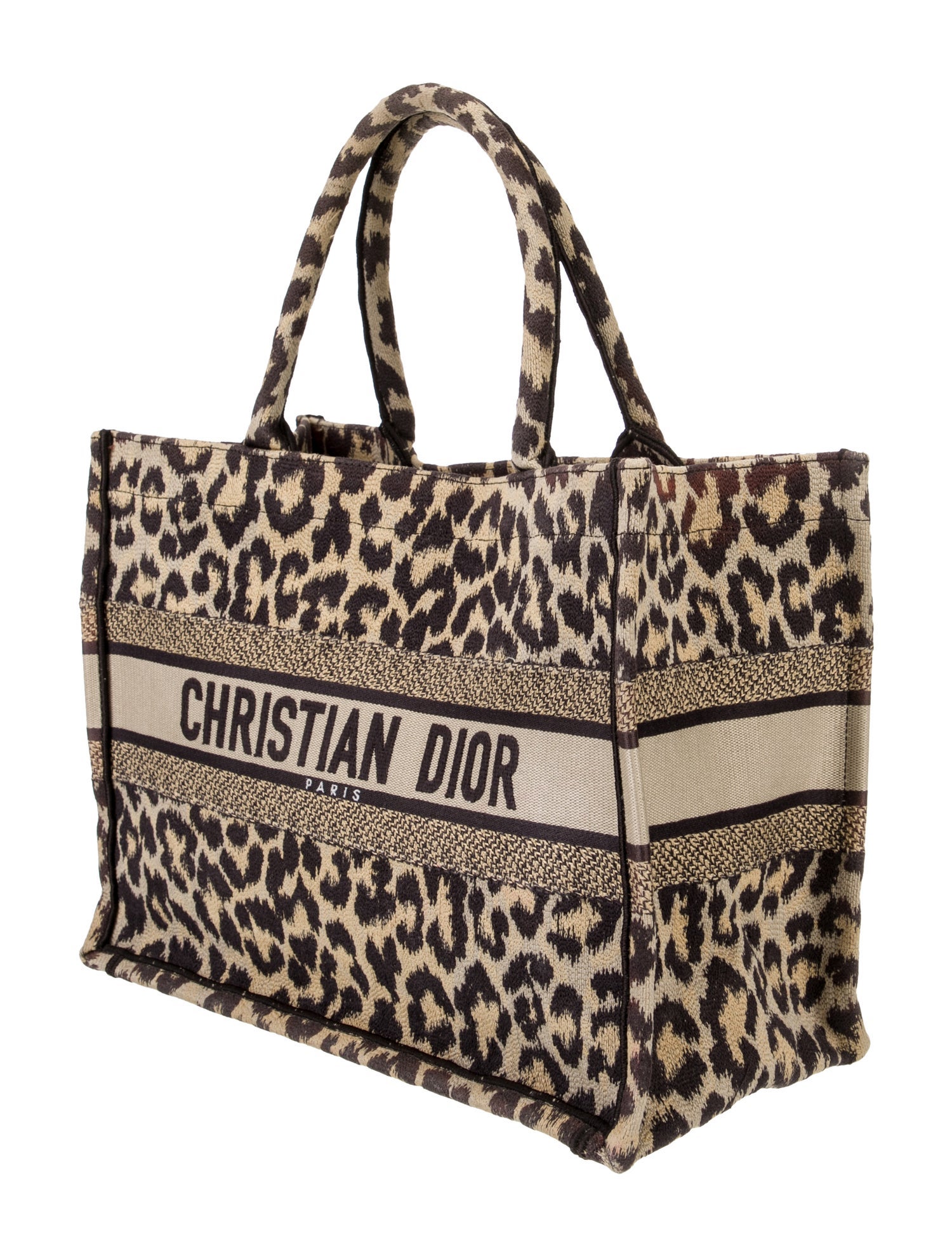 Christian Dior Canvas Book Medium